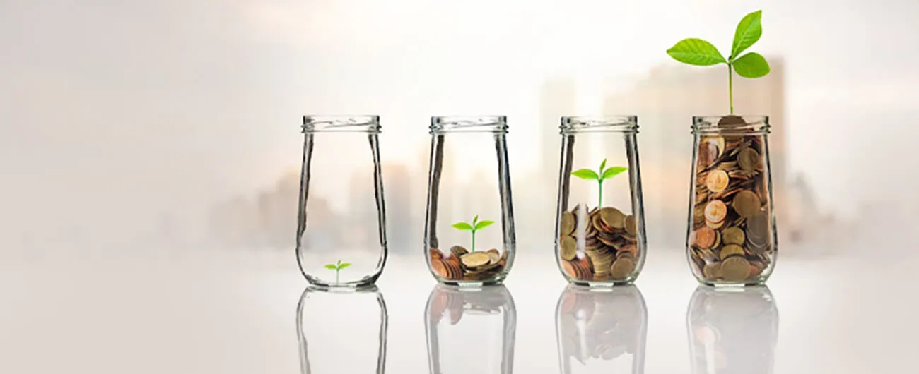 Strategic Investing: Difference Between Small Cap, Mid Cap and Large Cap Funds
