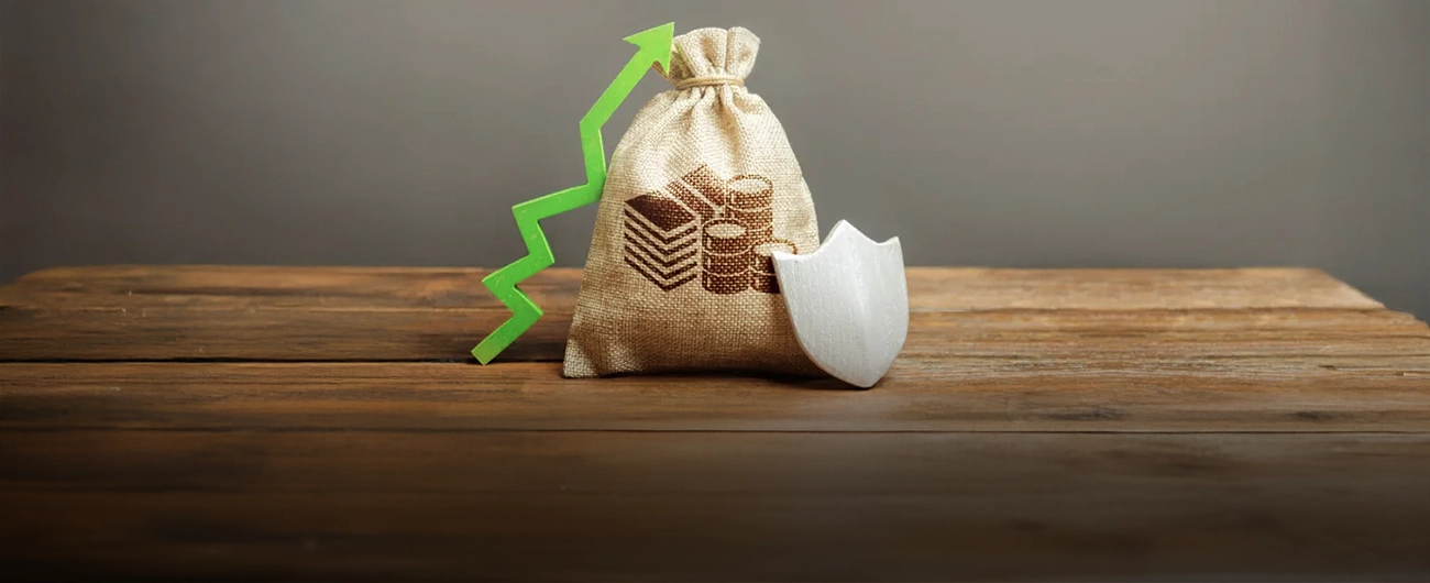 life insurance scheme
